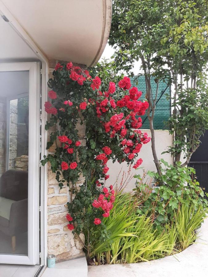 Appartement Climatise Au Calme En Provence Пиерфу-дю-Вар Екстериор снимка